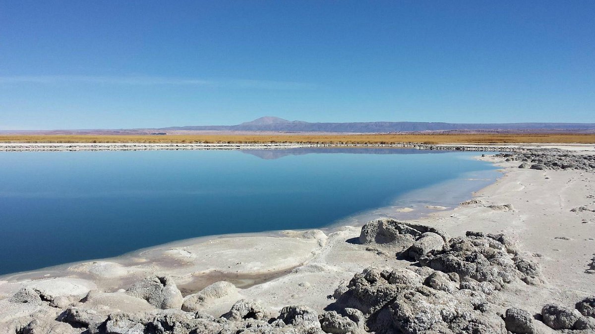 laguna-cejar (1)